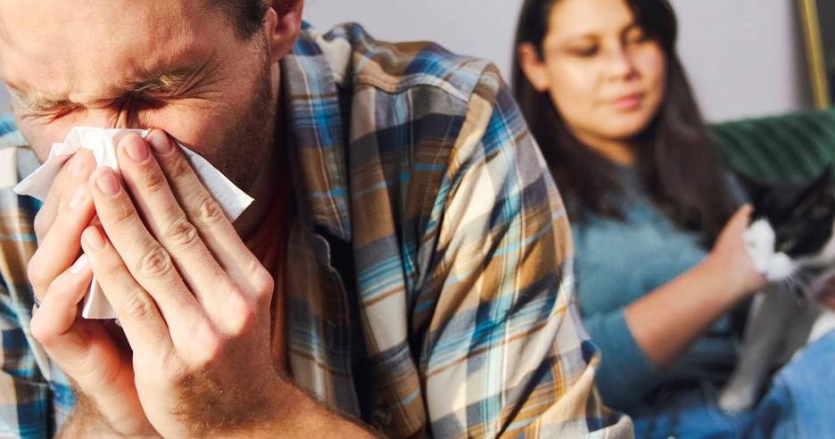 An adult couple is sitting on their couch sneezing.
